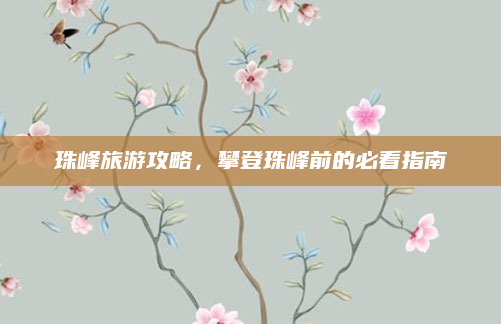 珠峰旅游攻略,攀登珠峰前的必看指南