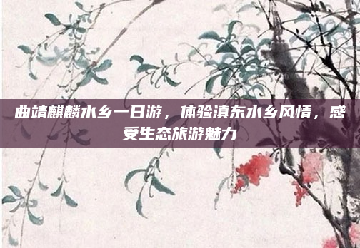 曲靖麒麟水乡一日游,体验滇东水乡风情,感受生态旅游魅力