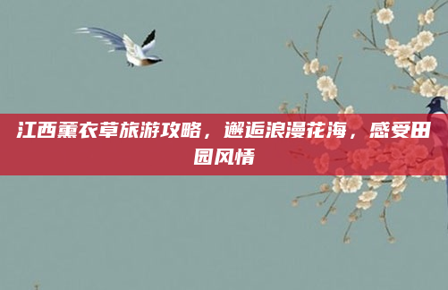 江西薰衣草旅游攻略,邂逅浪漫花海,感受田园风情