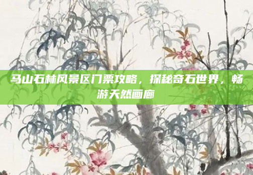 马山石林风景区门票攻略,探秘奇石世界,畅游天然画廊