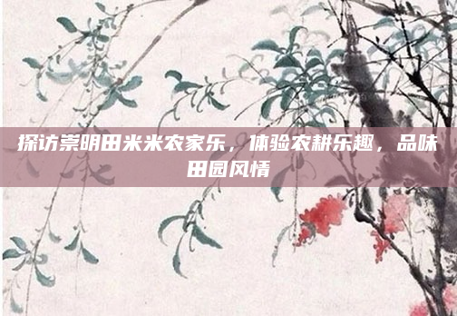 探访崇明田米米农家乐,体验农耕乐趣,品味田园风情