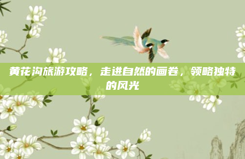 黄花沟旅游攻略,走进自然的画卷,领略独特的风光