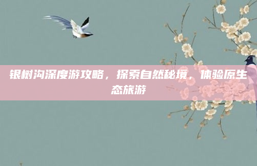 银树沟深度游攻略，探索自然秘境，体验原生态旅游