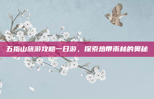 五指山旅游攻略一日游,探索热带雨林的奥秘