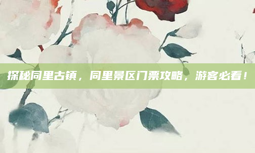 探秘同里古镇,同里景区门票攻略,游客必看!