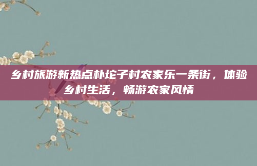 乡村旅游新热点朴坨子村农家乐一条街，体验乡村生活，畅游农家风情