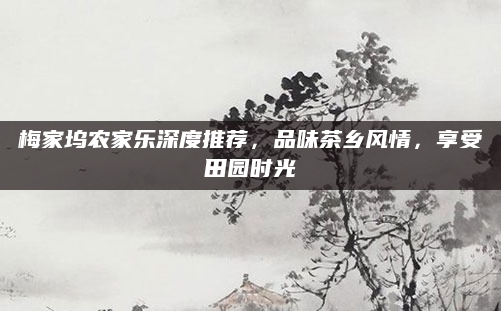 梅家坞农家乐深度推荐，品味茶乡风情，享受田园时光