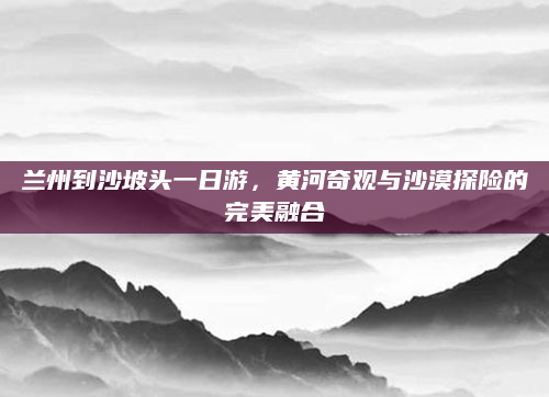 兰州到沙坡头一日游，黄河奇观与沙漠探险的完美融合