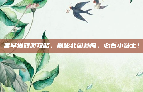 塞罕坝旅游攻略,探秘北国林海,必看小贴士!
