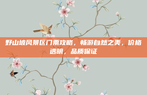 野山坡风景区门票攻略，畅游自然之美，价格透明，品质保证