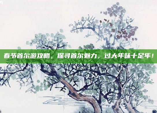 春节首尔游攻略,探寻首尔魅力,过大年味十足年!