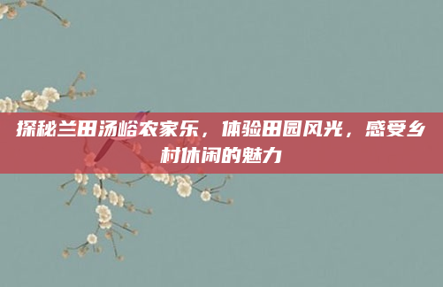探秘兰田汤峪农家乐，体验田园风光，感受乡村休闲的魅力