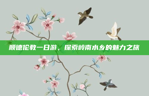 顺德伦教一日游,探索岭南水乡的魅力之旅