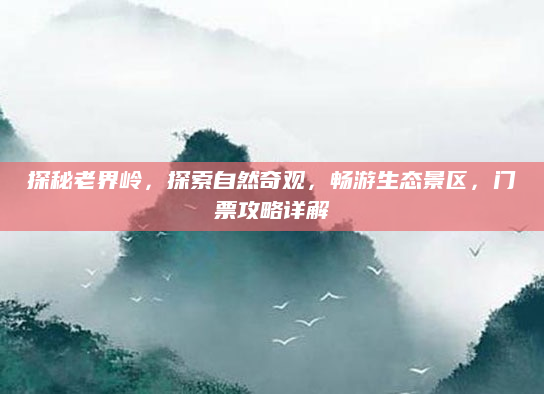 探秘老界岭，探索自然奇观，畅游生态景区，门票攻略详解