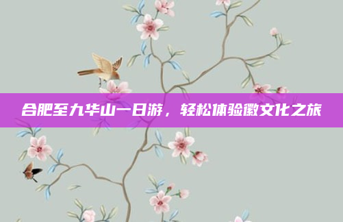 合肥至九华山一日游，轻松体验徽文化之旅
