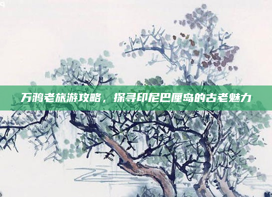 万鸦老旅游攻略，探寻印尼巴厘岛的古老魅力