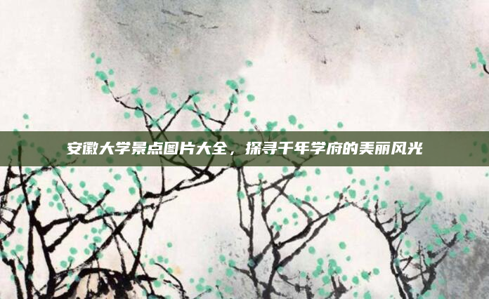 安徽大学景点图片大全，探寻千年学府的美丽风光