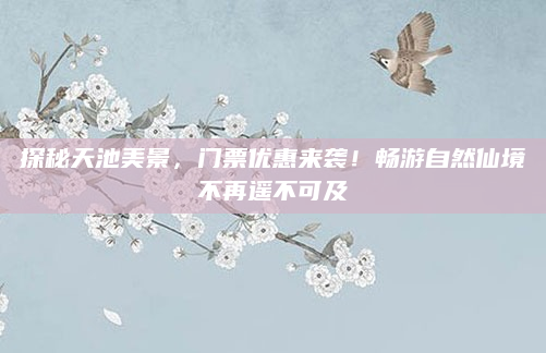 探秘天池美景,门票优惠来袭!畅游自然仙境不再遥不可及