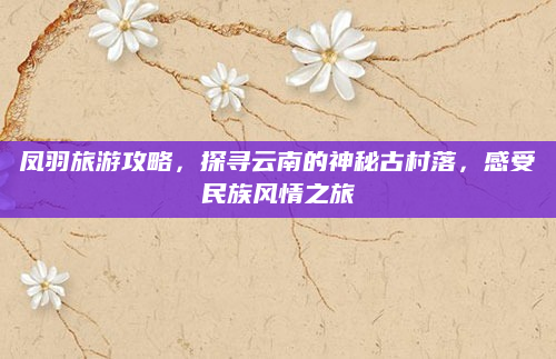 凤羽旅游攻略,探寻云南的神秘古村落,感受民族风情之旅