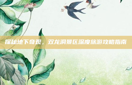探秘地下奇观，双龙洞景区深度旅游攻略指南