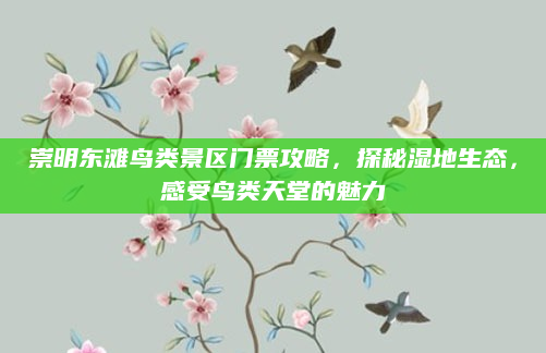 崇明东滩鸟类景区门票攻略，探秘湿地生态，感受鸟类天堂的魅力