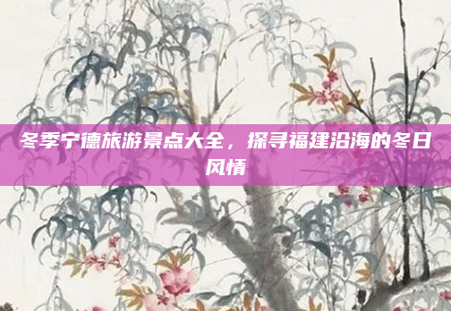 冬季宁德旅游景点大全,探寻福建沿海的冬日风情