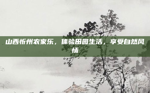 山西忻州农家乐，体验田园生活，享受自然风情