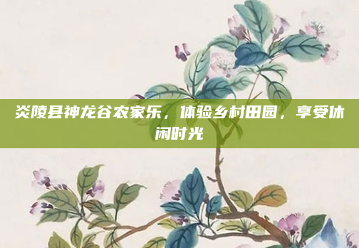 炎陵县神龙谷农家乐，体验乡村田园，享受休闲时光
