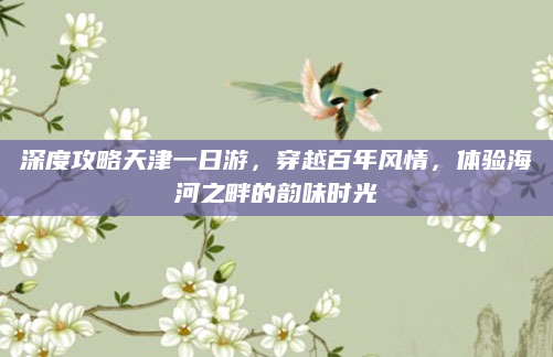 深度攻略天津一日游,穿越百年风情,体验海河之畔的韵味时光