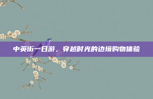 中英街一日游,穿越时光的边境购物体验
