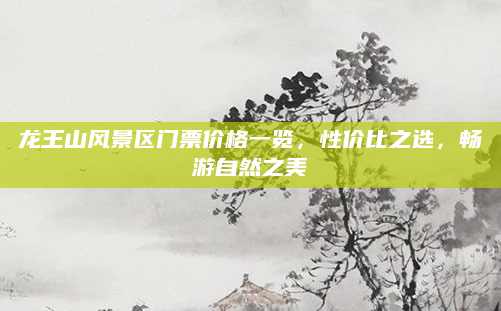 龙王山风景区门票价格一览，性价比之选，畅游自然之美