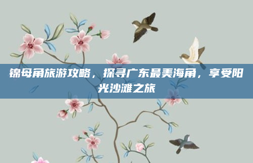 锦母角旅游攻略,探寻广东最美海角,享受阳光沙滩之旅