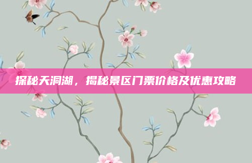 探秘天洞湖,揭秘景区门票价格及优惠攻略