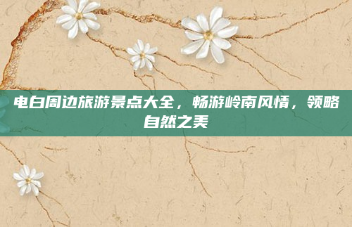 电白周边旅游景点大全,畅游岭南风情,领略自然之美