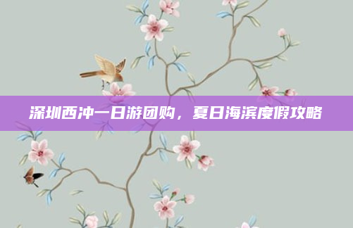 深圳西冲一日游团购，夏日海滨度假攻略