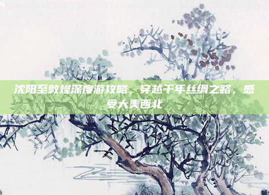 沈阳至敦煌深度游攻略，穿越千年丝绸之路，感受大美西北
