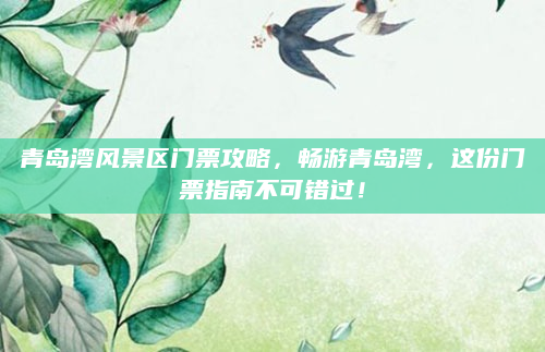 青岛湾风景区门票攻略,畅游青岛湾,这份门票指南不可错过!