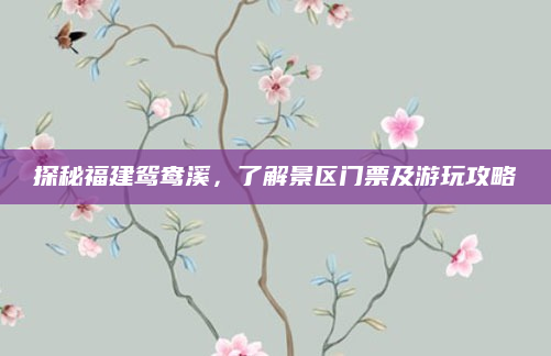 探秘福建鸳鸯溪,了解景区门票及游玩攻略