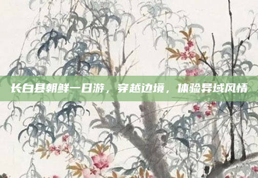 长白县朝鲜一日游，穿越边境，体验异域风情