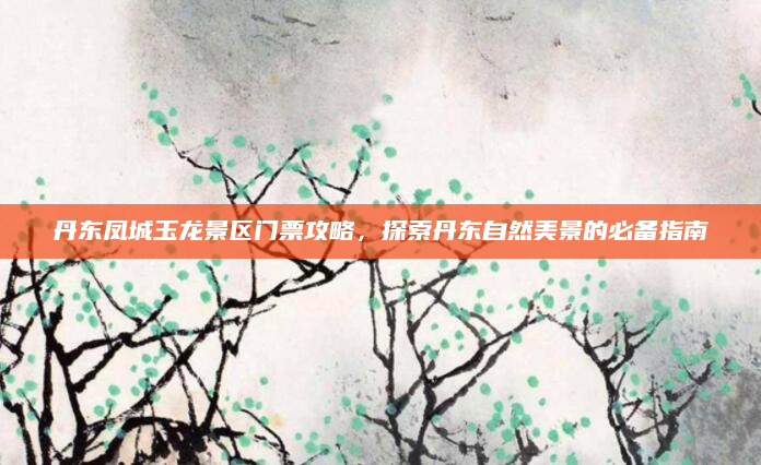 丹东凤城玉龙景区门票攻略，探索丹东自然美景的必备指南