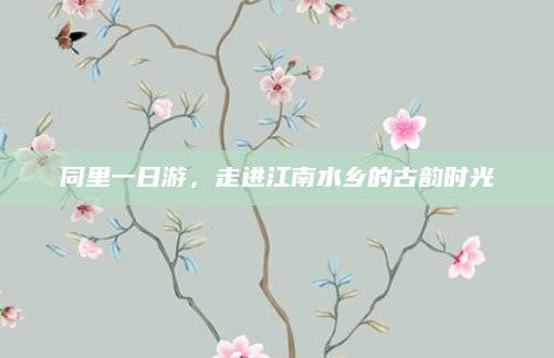 同里一日游，走进江南水乡的古韵时光