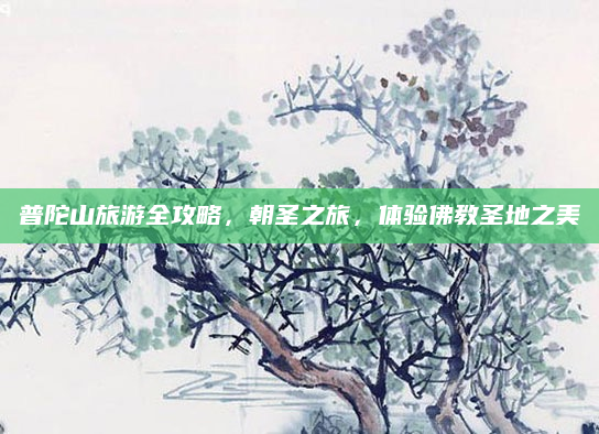 普陀山旅游全攻略，朝圣之旅，体验佛教圣地之美