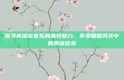 探寻青浦农家乐的独特魅力,享受田园风光中的美味佳肴