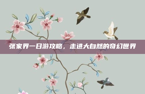 张家界一日游攻略,走进大自然的奇幻世界