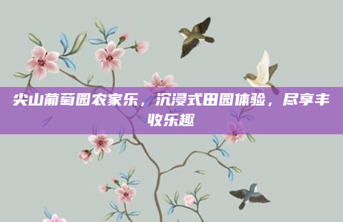 尖山葡萄园农家乐,沉浸式田园体验,尽享丰收乐趣