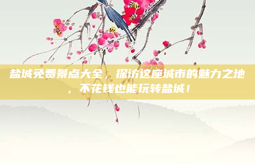 盐城免费景点大全,探访这座城市的魅力之地,不花钱也能玩转盐城!