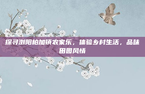 探寻浏阳柏加镇农家乐,体验乡村生活,品味田园风情