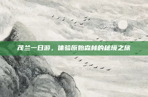 茂兰一日游，体验原始森林的秘境之旅