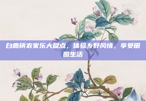 白鹿镇农家乐大盘点，体验乡野风情，享受田园生活