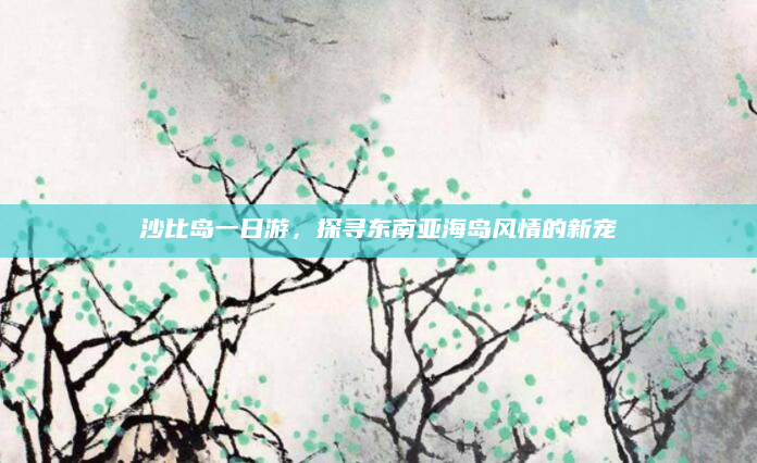沙比岛一日游,探寻东南亚海岛风情的新宠